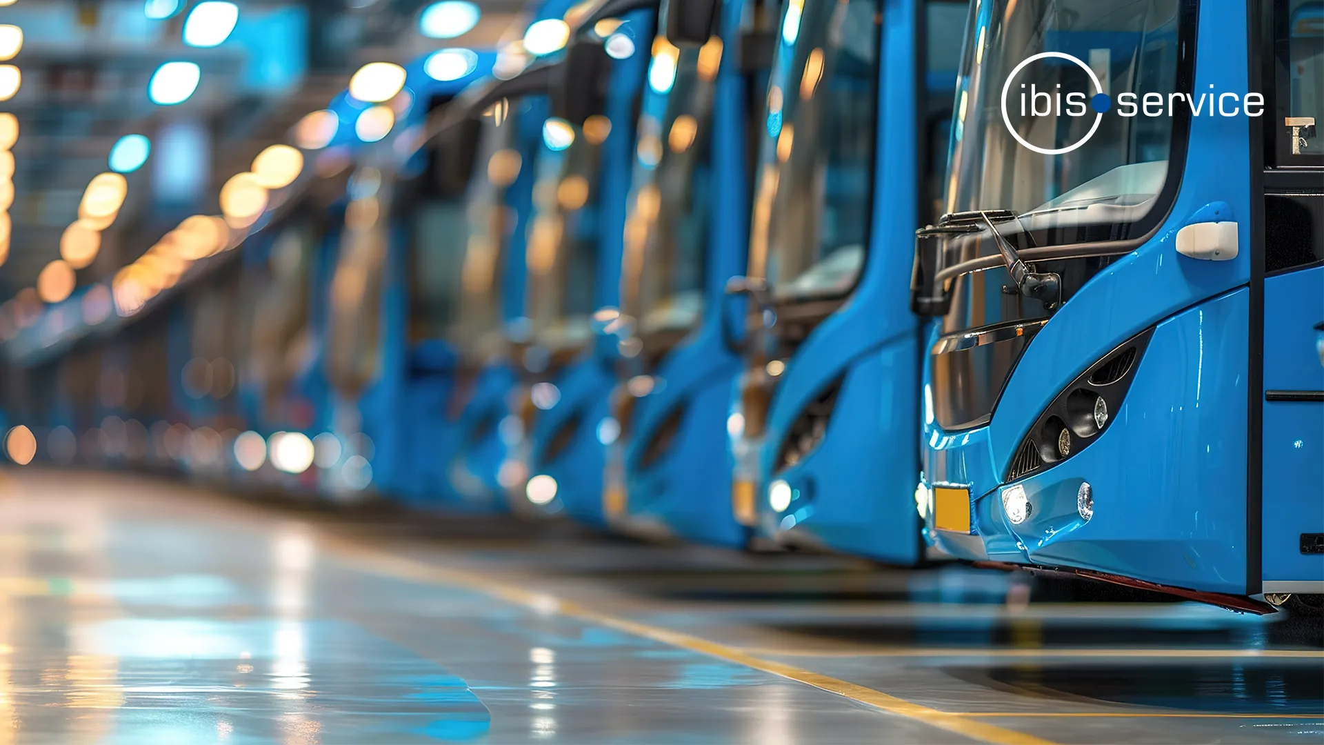 IBIS Service GmbH & Co. KG - Range of services in public transport